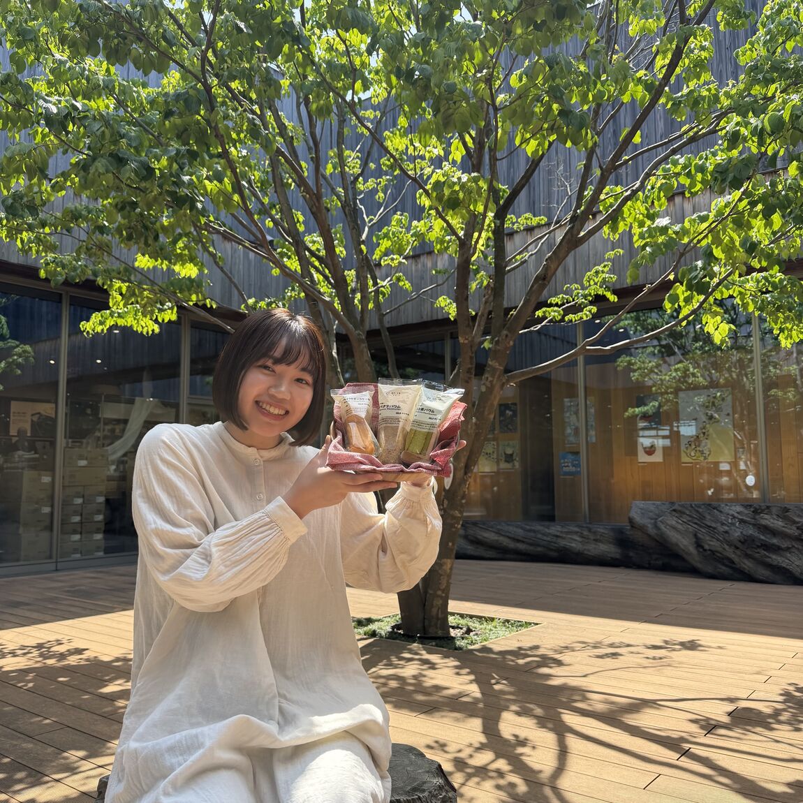 バウムシリーズ