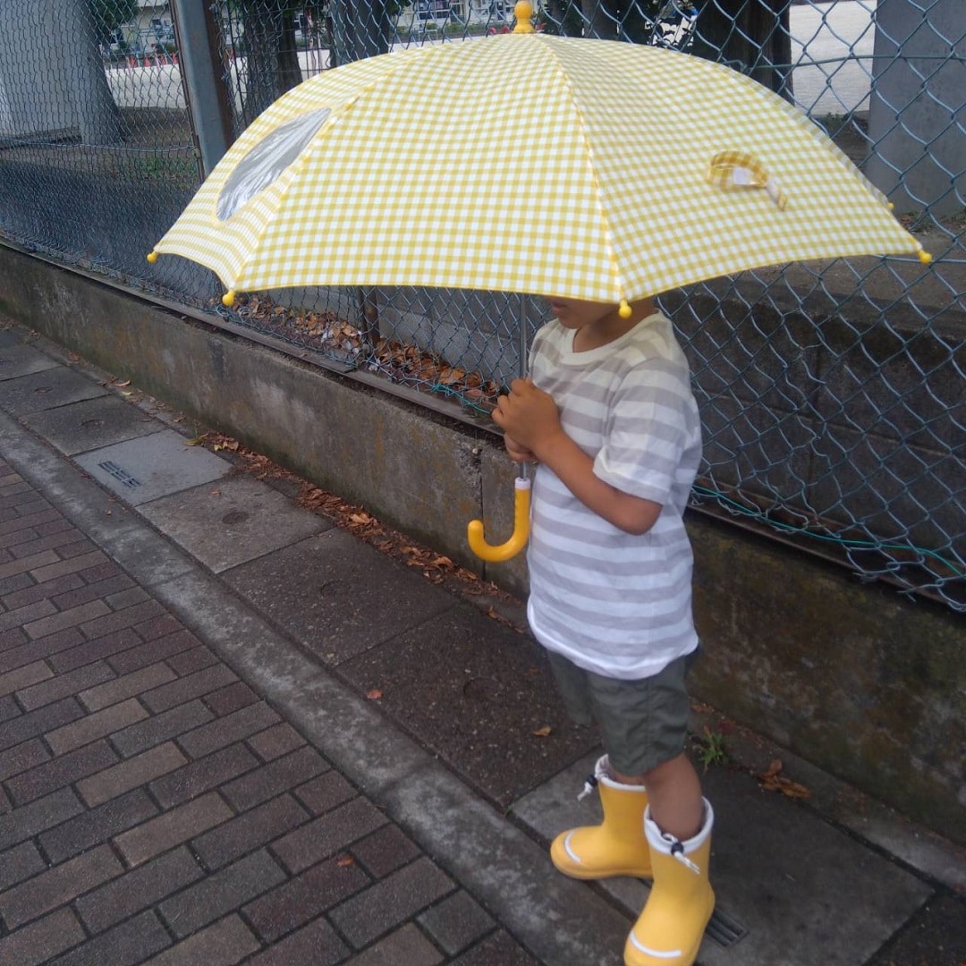 かさ