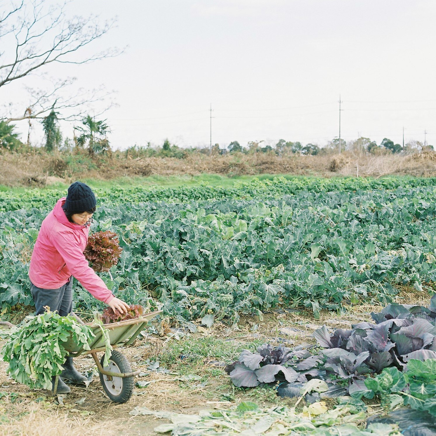 【京都山科】今日からです。つながる市写真展『おいしいって、あたたかい』