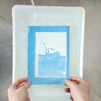 【京都山科】サイアノタイプで絵葉書をつくろう｜イベントのお知らせ