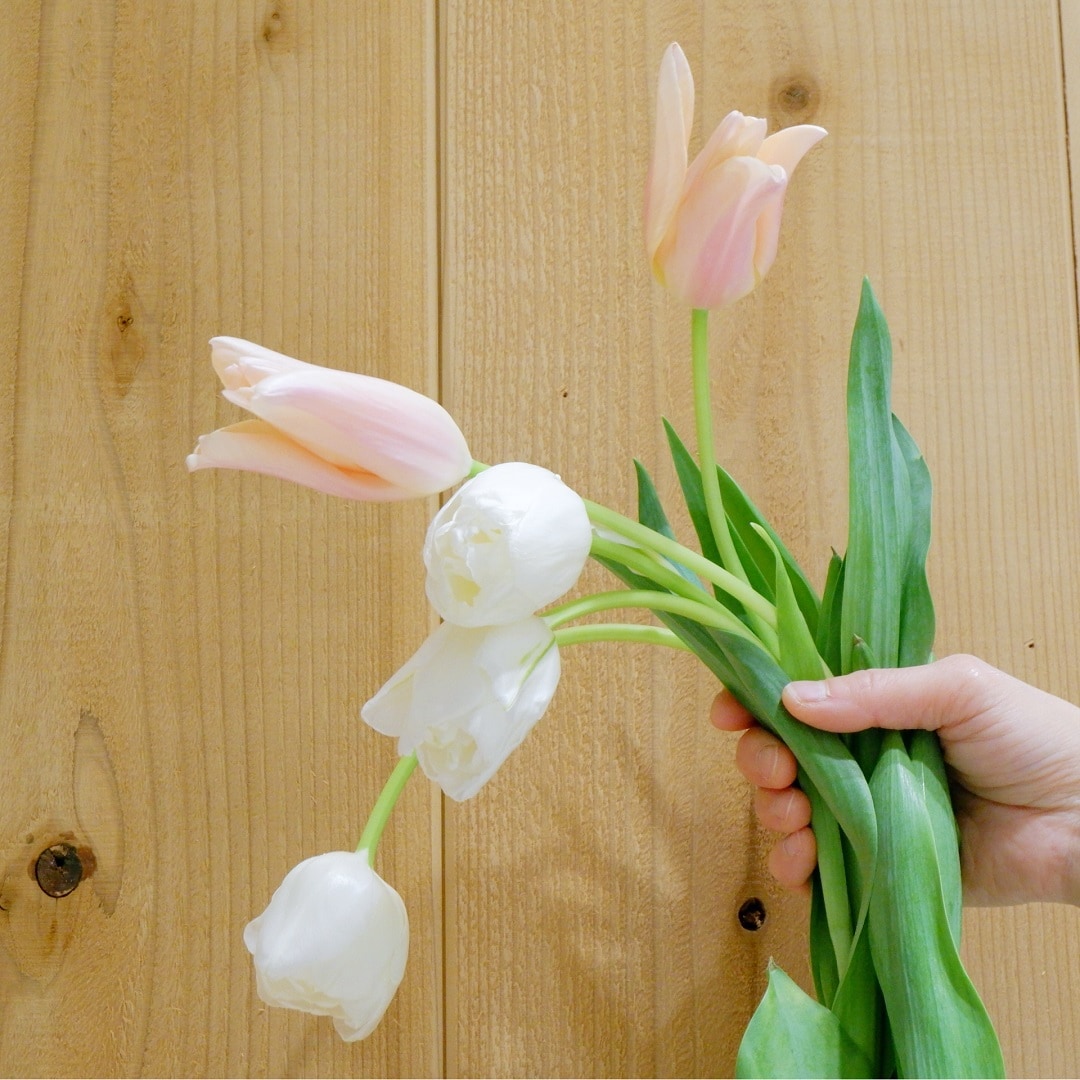 【京都山科】春のお花を飾りましょう｜ワークショップのお知らせ