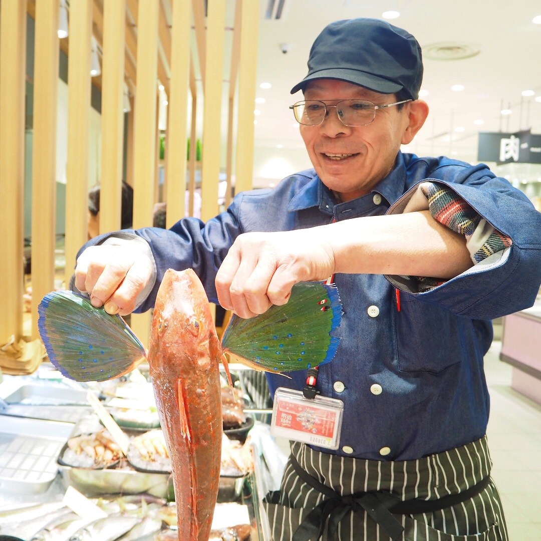 お魚屋さんとホウボウ