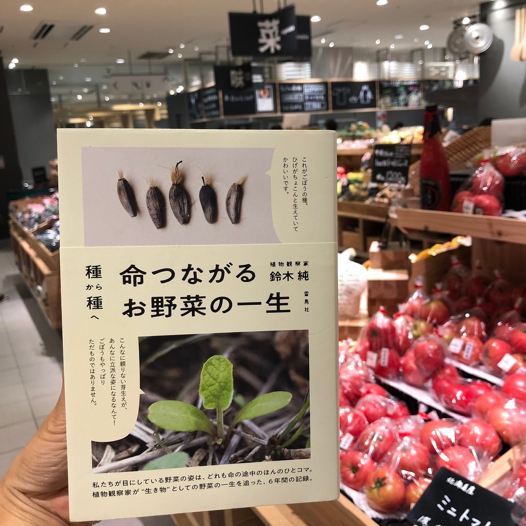 【京都山科】種から種へ　命つながるお野菜の一生｜MUJI BOOKS