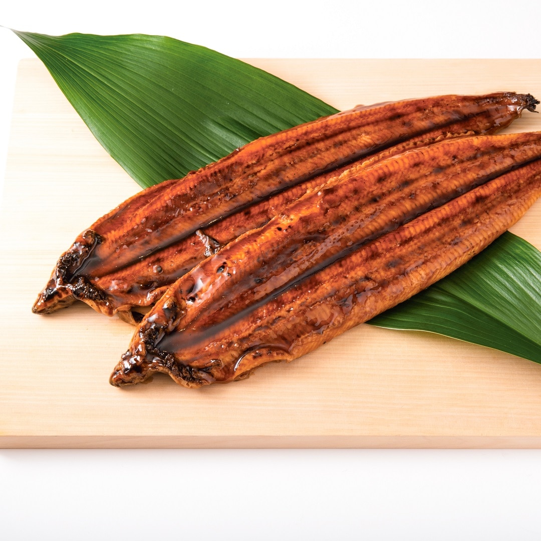 【京都山科】明日は土用の丑の日｜鮮魚売場から