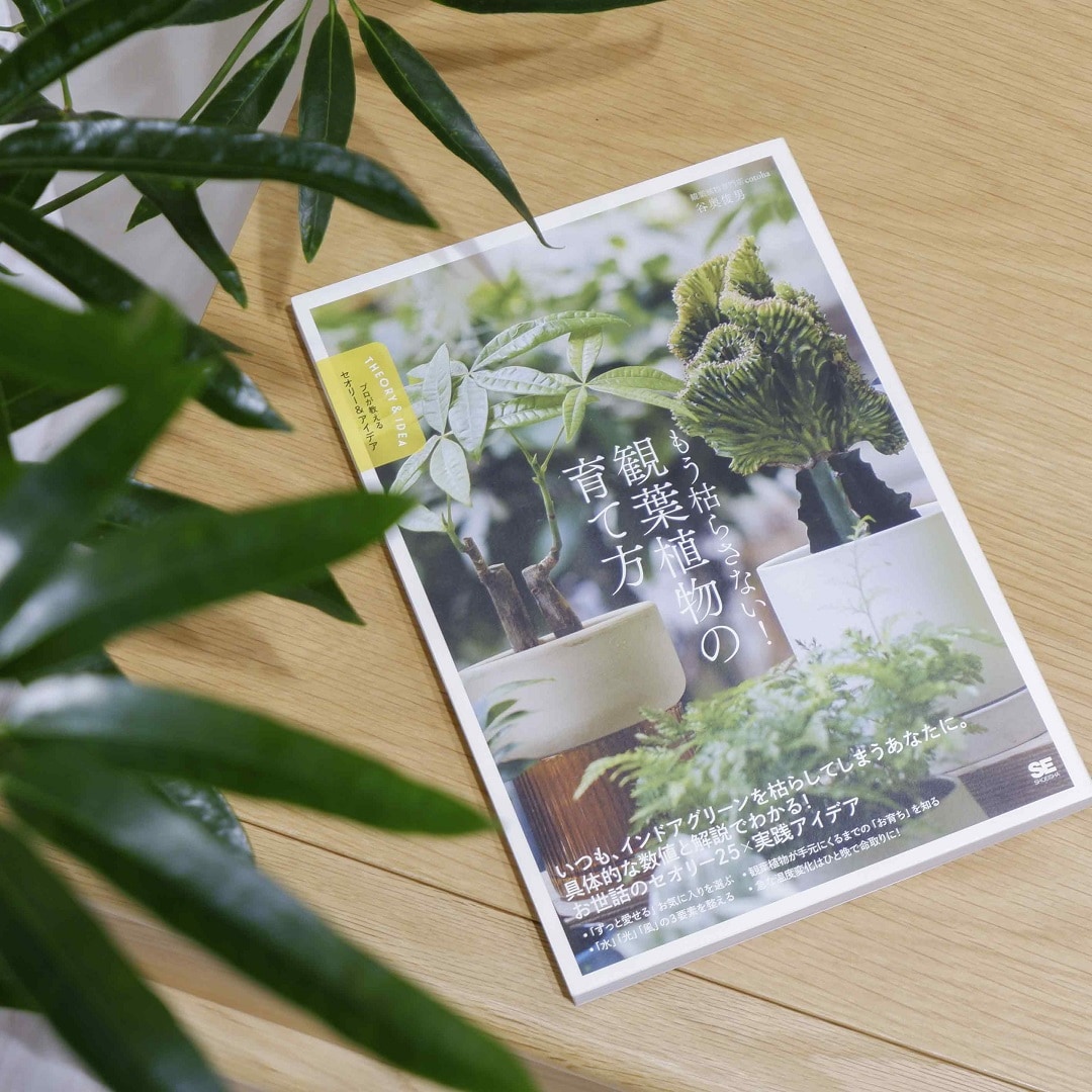 【京都山科】『もう枯らさない！観葉植物の育て方』著者谷奥俊男さんお話会と植物植替え講座｜イベントのお知らせ