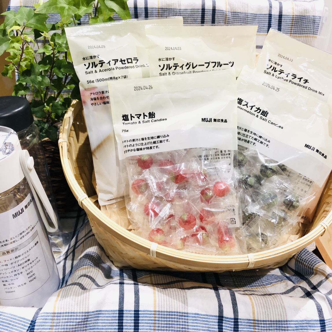 ソルティーシリーズ
