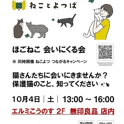 【エルミこうのす】保護猫　会いに来る会