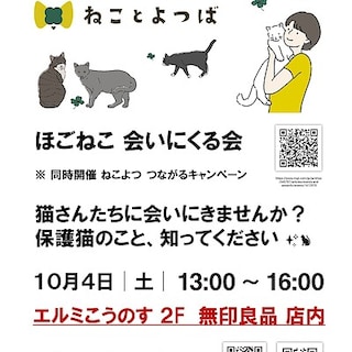 【エルミこうのす】保護猫　会いに来る会