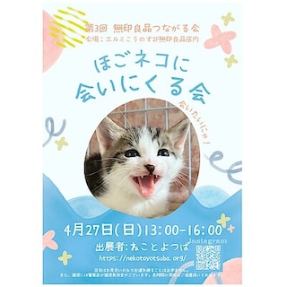 【エルミこうのす】保護猫 会いにくる会