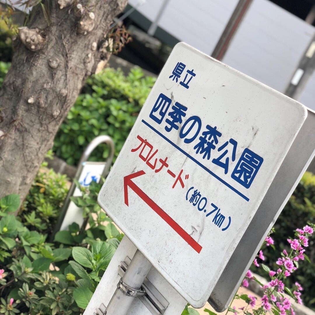 キービジュアル画像：四季の森公園へ行ってみました。
