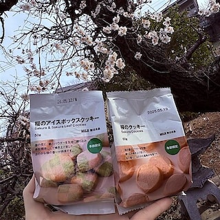 【無印良品500ビーンズ中山】ほんのり香る春の味　桜