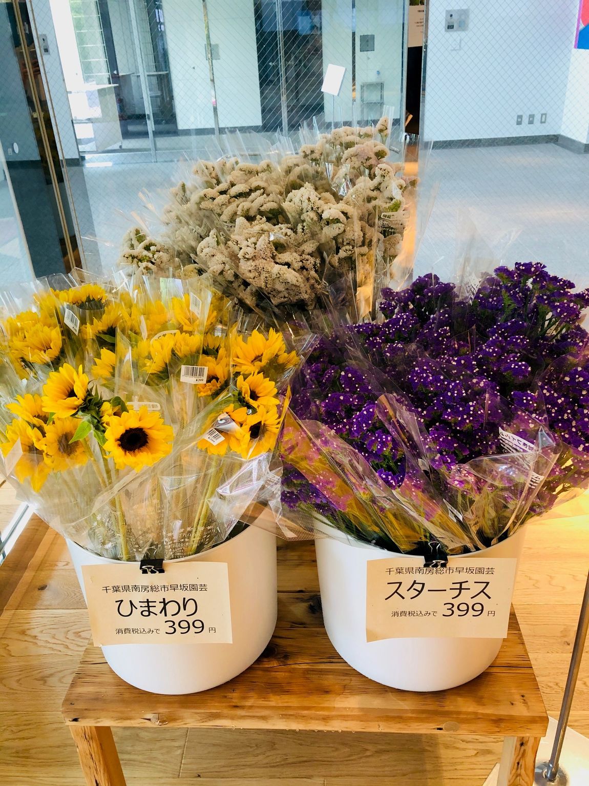 Mujicom武蔵野美術大学市ヶ谷キャンパス 南房総の花 販売開始しました 無印良品
