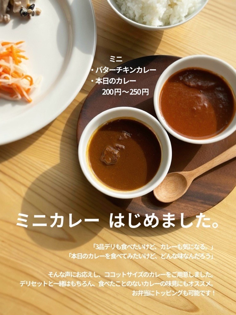 ミニカレー_2024