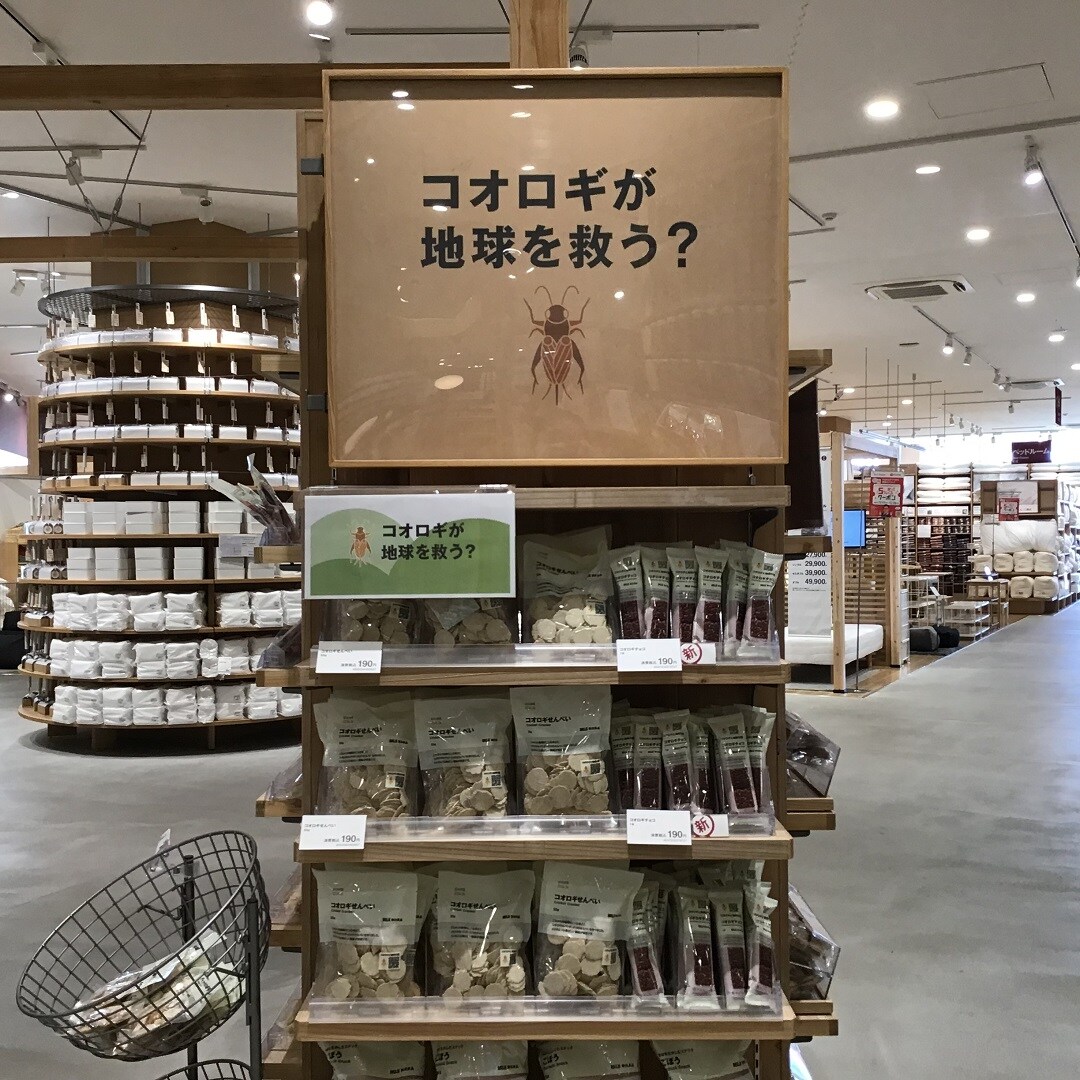 【ららぽーと沼津】