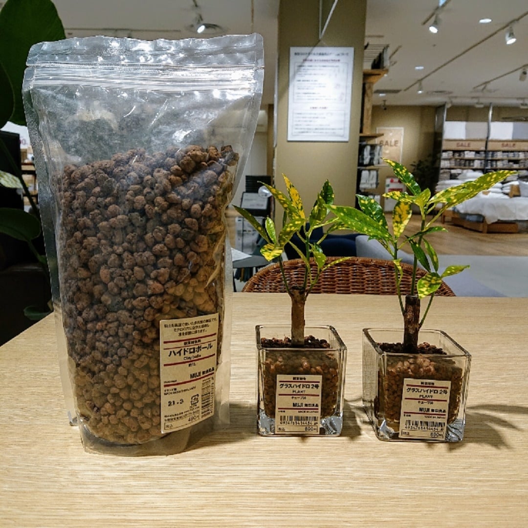 心斎橋パルコ ハイドロボールで観葉植物を育てよう 無印良品