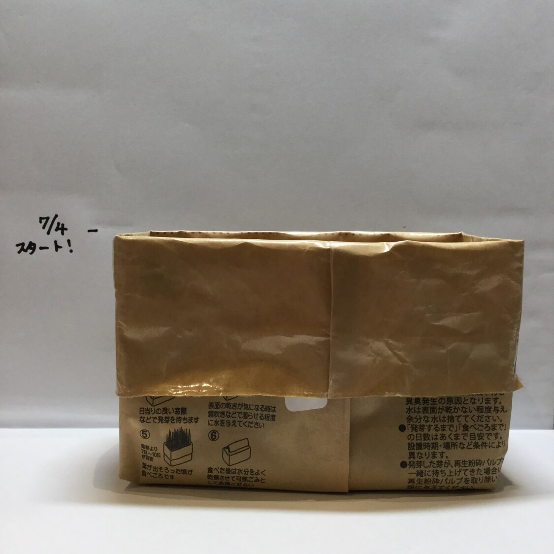 キービジュアル画像：猫草栽培日記始めました ①