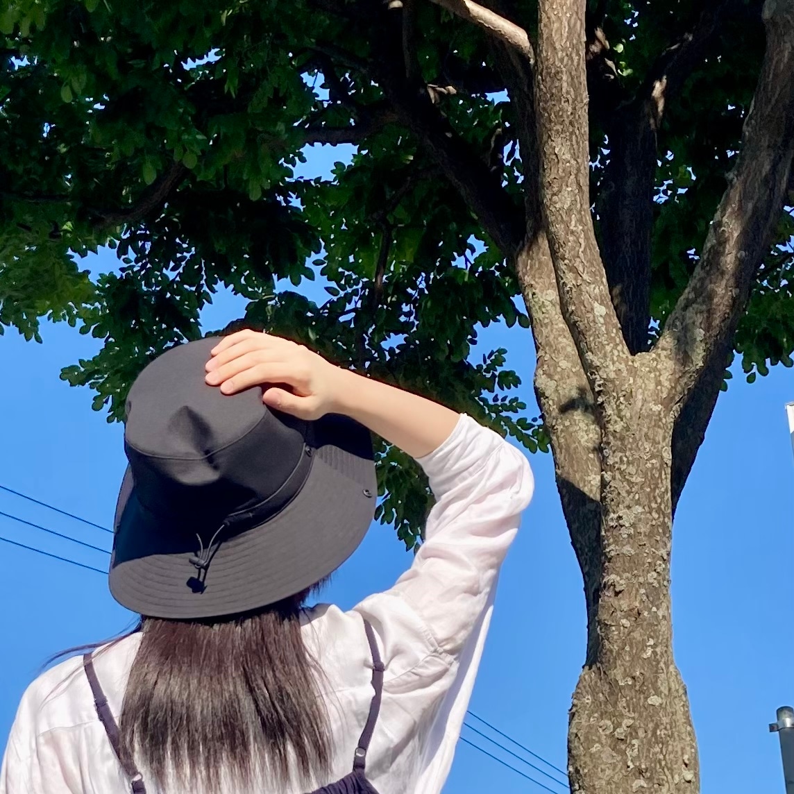 木を見上げる女性スタッフ
