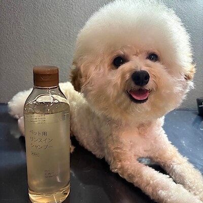 【トレッサ横浜】 無印良品のペット用シャンプー使ってみました