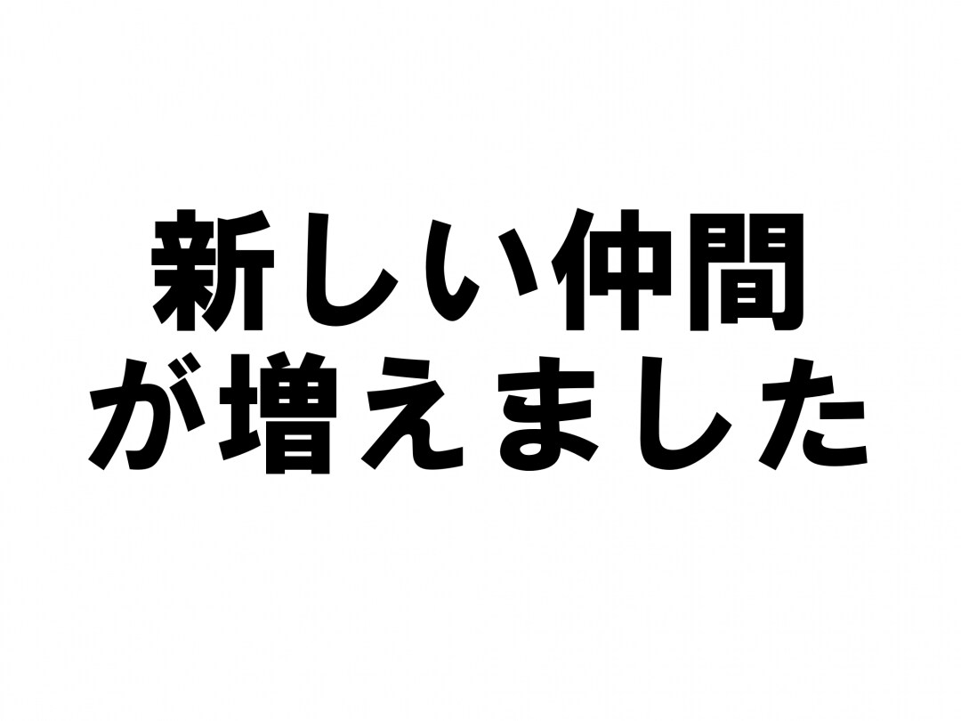 キービジュアル画像：新しい仲間が増えました