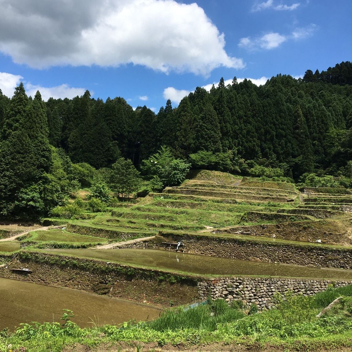 【MUJIキャナルシティ博多】つづら棚田に行ってきました