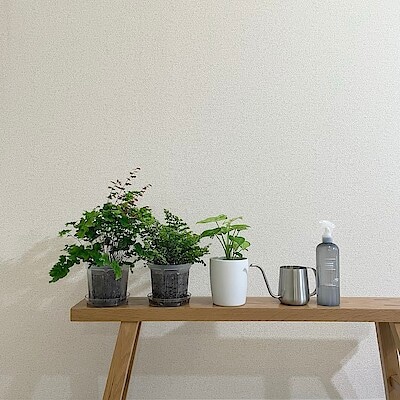 【キャナルシティ博多】植物とくらす