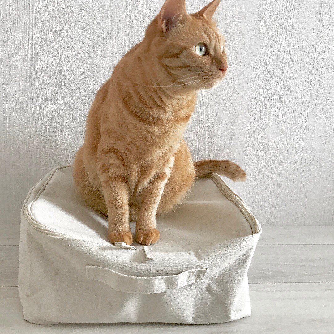 MUJIキャナルシティ博多】猫と収納とわたし｜スタッフのおすすめ｜無印