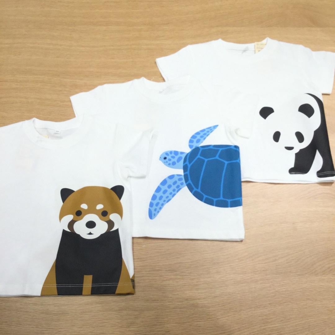 キービジュアル画像：プリントＴシャツ｜スタッフのおすすめ