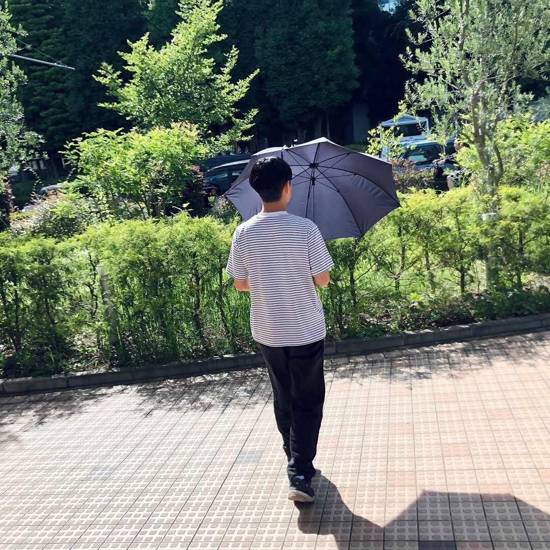 小田原の季節の鮮魚の写真