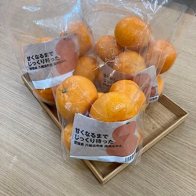 【泉北パンジョ】試食会のお知らせ