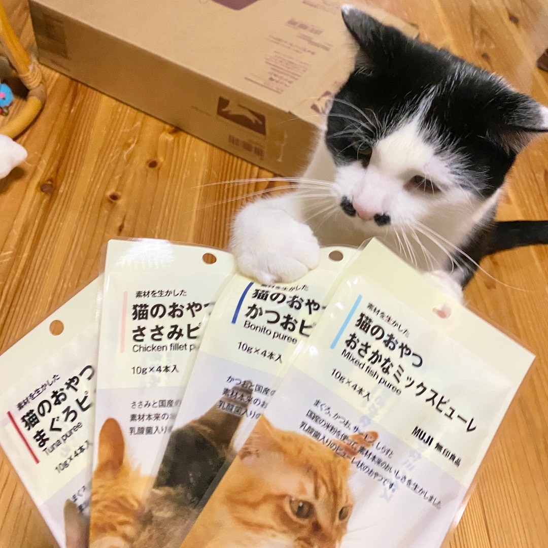 【アトレ川越】猫がハマるおやつ