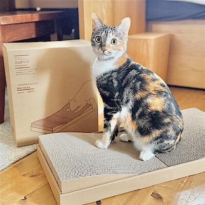 【アトレ川越】お昼寝もできる 爪とぎベッド