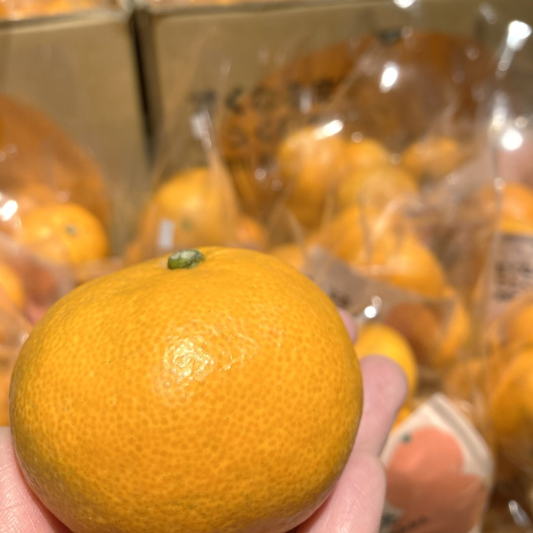 【イオンモール鈴鹿】みかん入荷しています