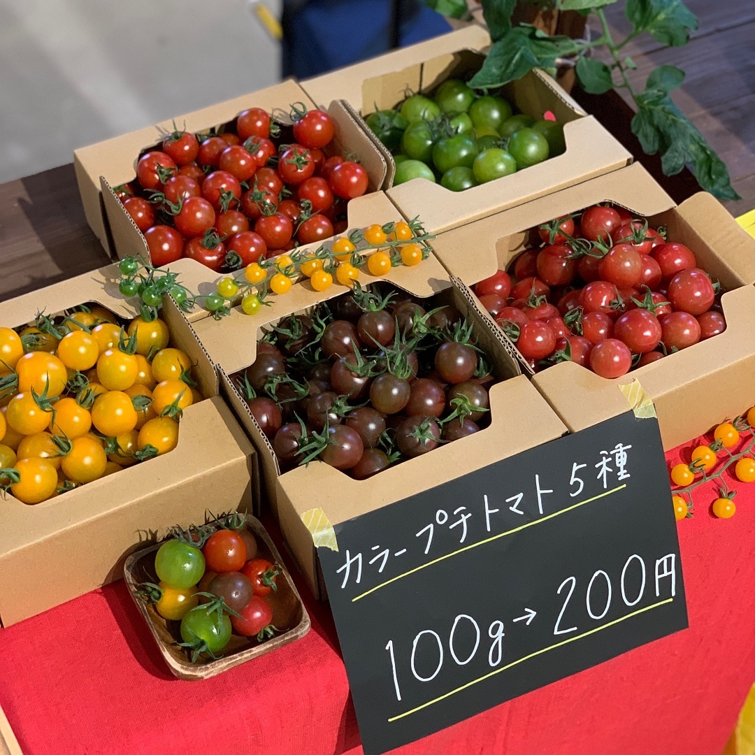 キービジュアル画像：鹿島市のおいしいもの販売しています。 ｜イベント告知