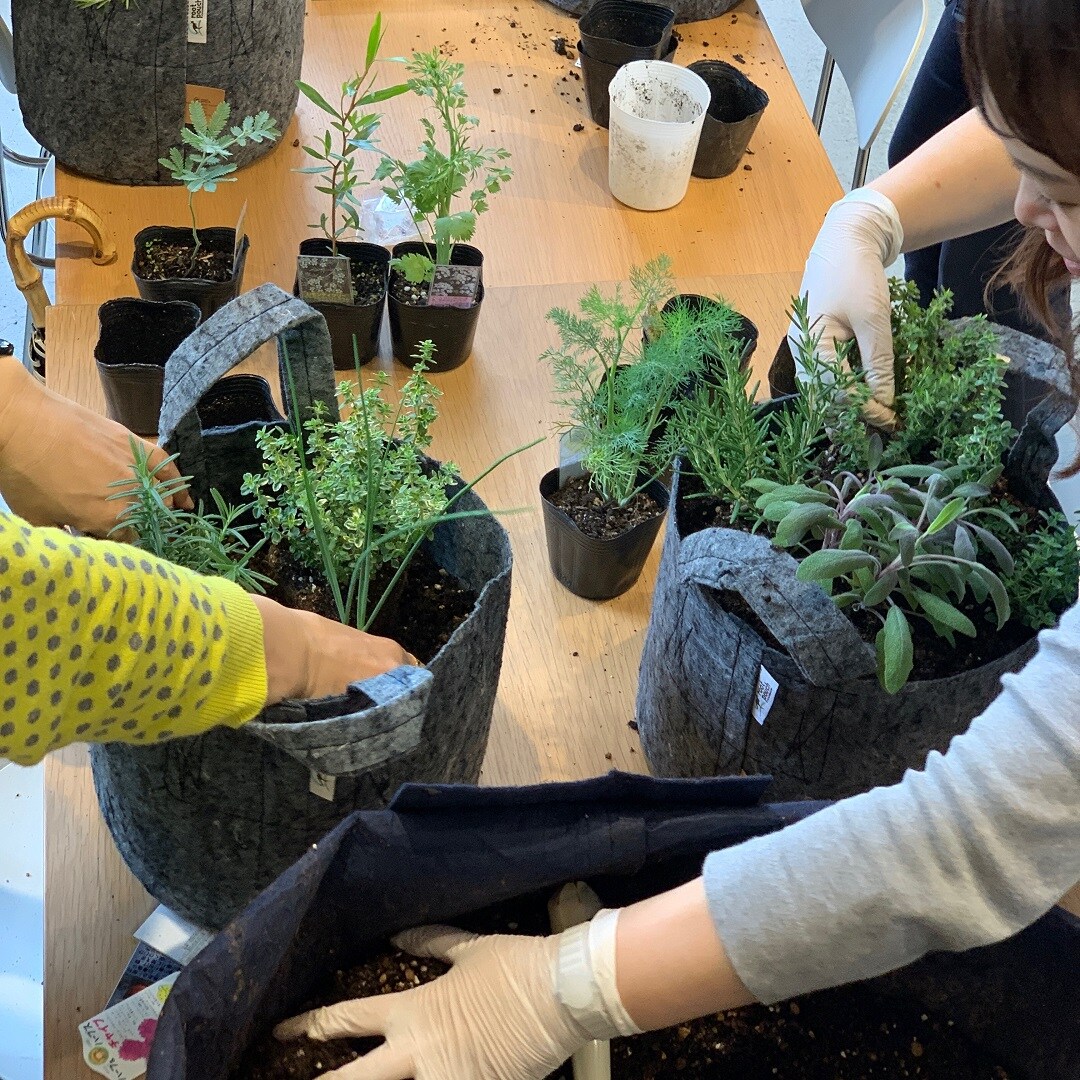 キービジュアル画像：育てて、食べよう。ハーブの寄せ植え　ワークショップ｜イベントレポート