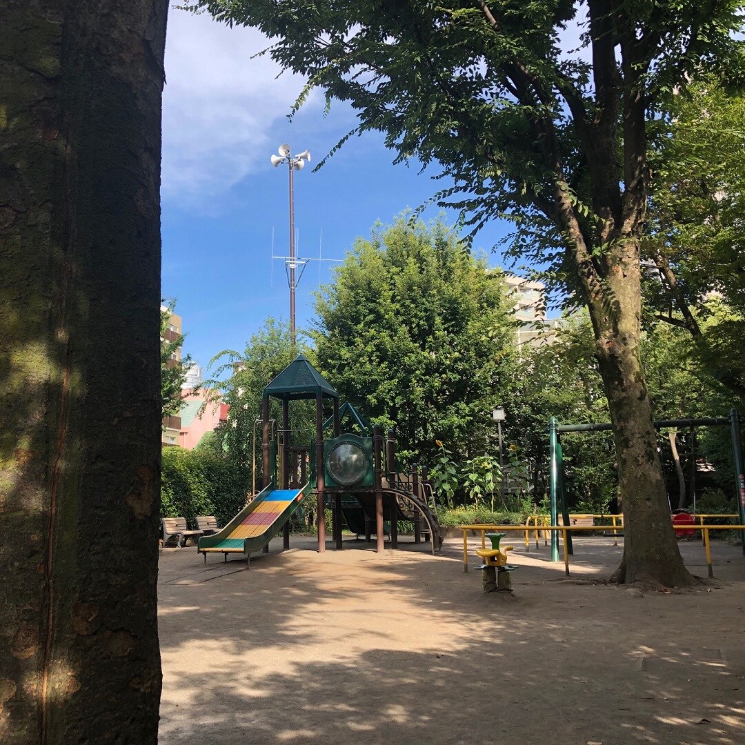 キービジュアル画像：青山にある風景　3枚目｜まち便り