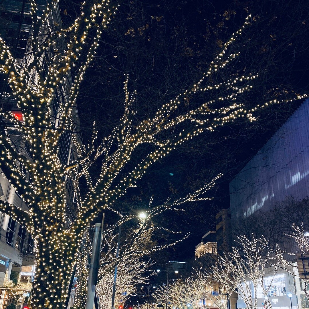 キービジュアル画像：【青山】青山にある風景　11枚目｜まち便り