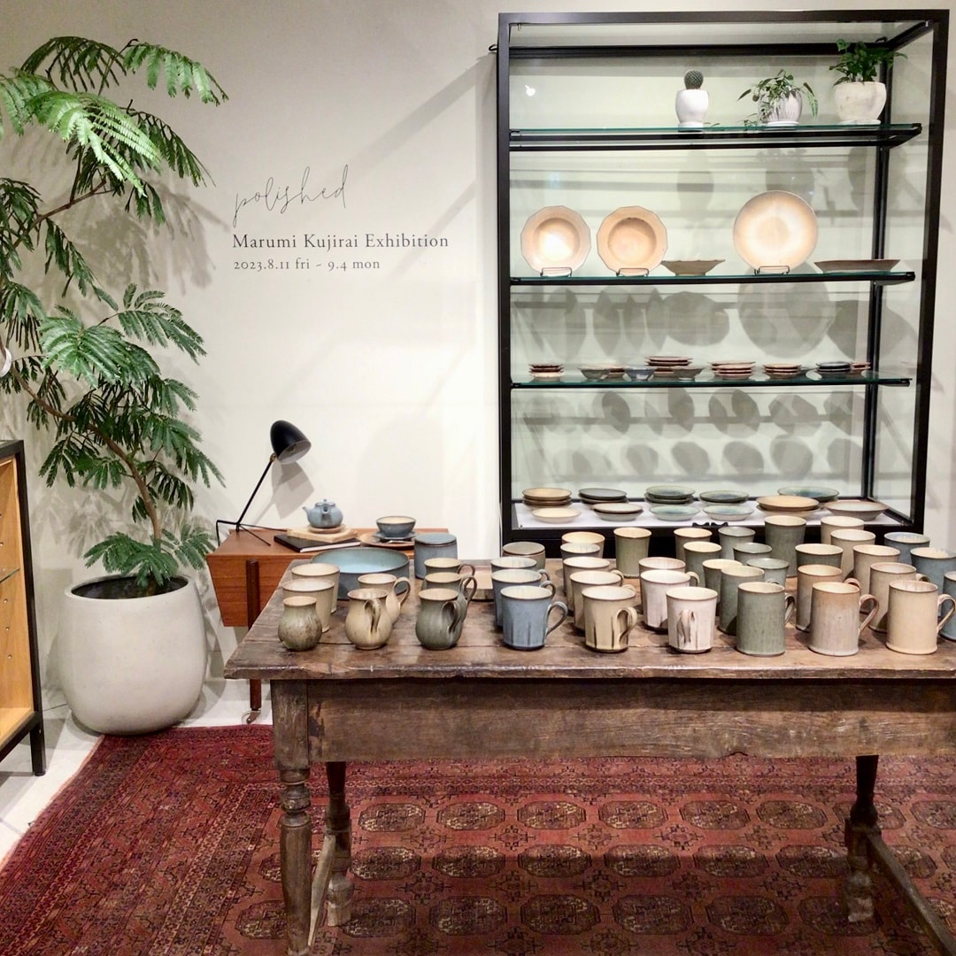 鯨井円美さん 植木鉢 【限定20鉢】植物好きが欲しがる鉢が