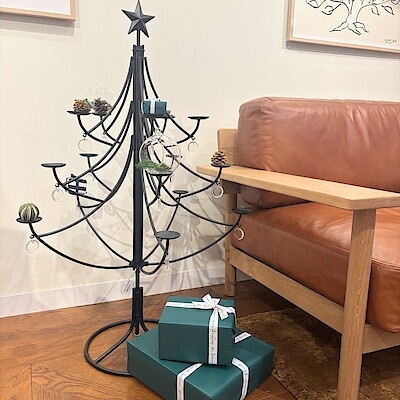 【IDÉE 柏店】  IDÉEのIRON TREE