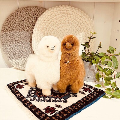 【IDÉE 日本橋店】ほっこりぬくもりの世界へようこそ