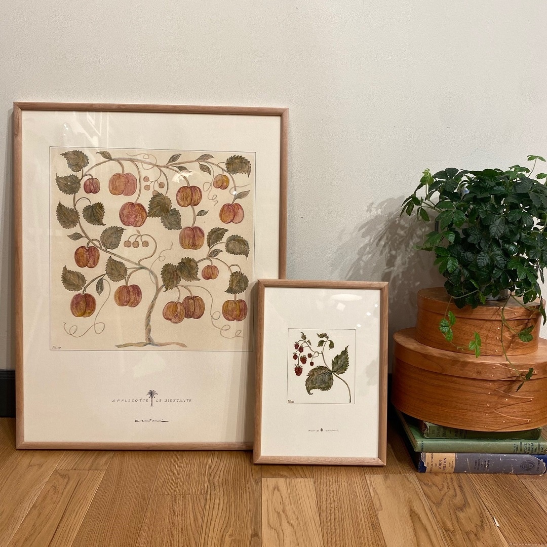 coricciさんのbotanicalシリーズ