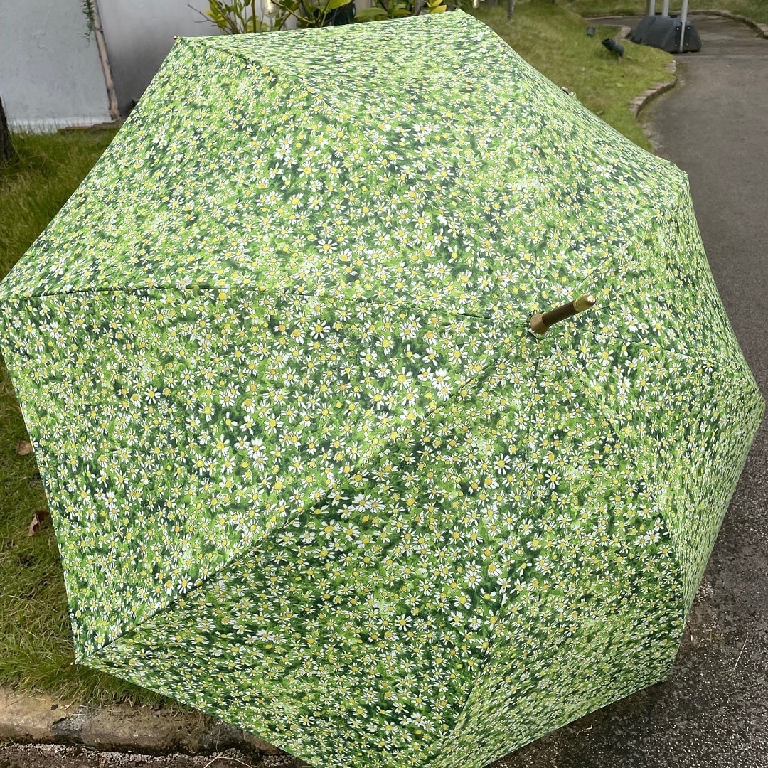 メイン画像：046052_20251112_01_01　イイダ傘店 秋の傘展