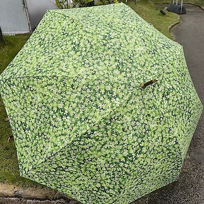 【IDÉE新宿店】イイダ傘店 秋の傘展