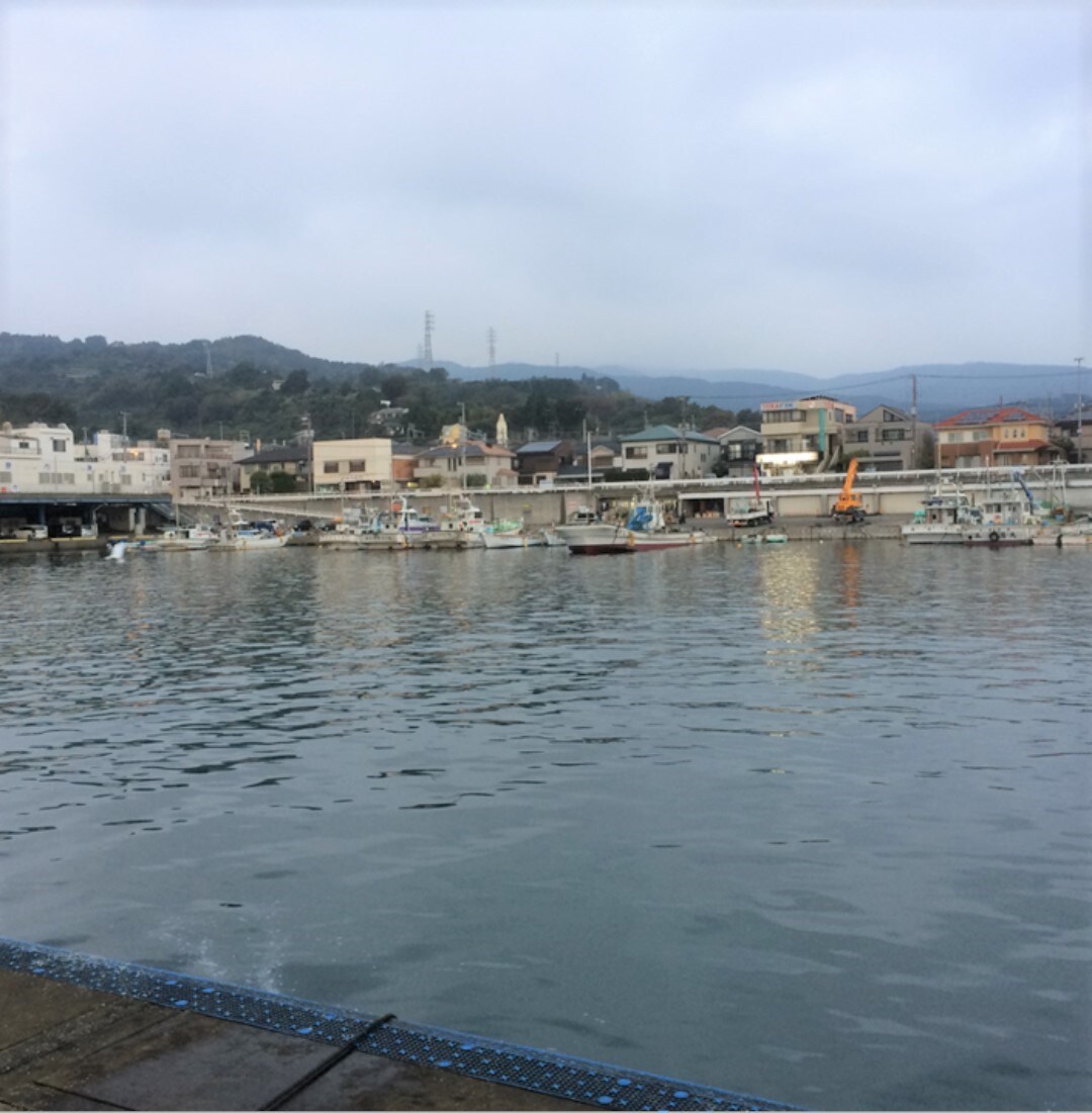 キービジュアル画像：【MUJI Diner 銀座】「おいしさのわけ」鮮魚の産地 小田原早川漁港｜B1F MUJI Diner 銀座