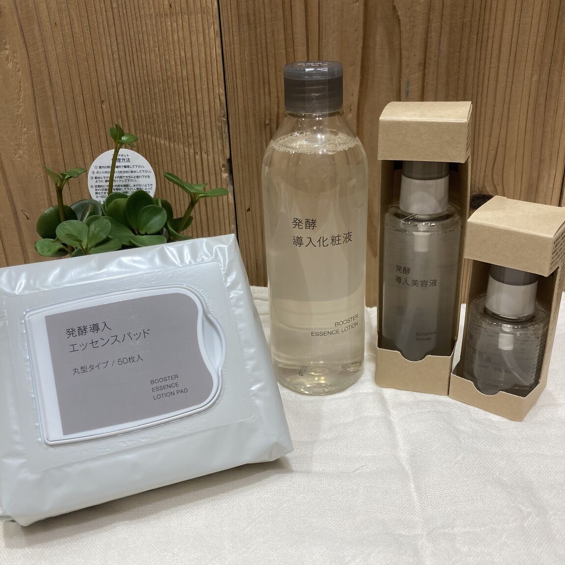 発酵導入