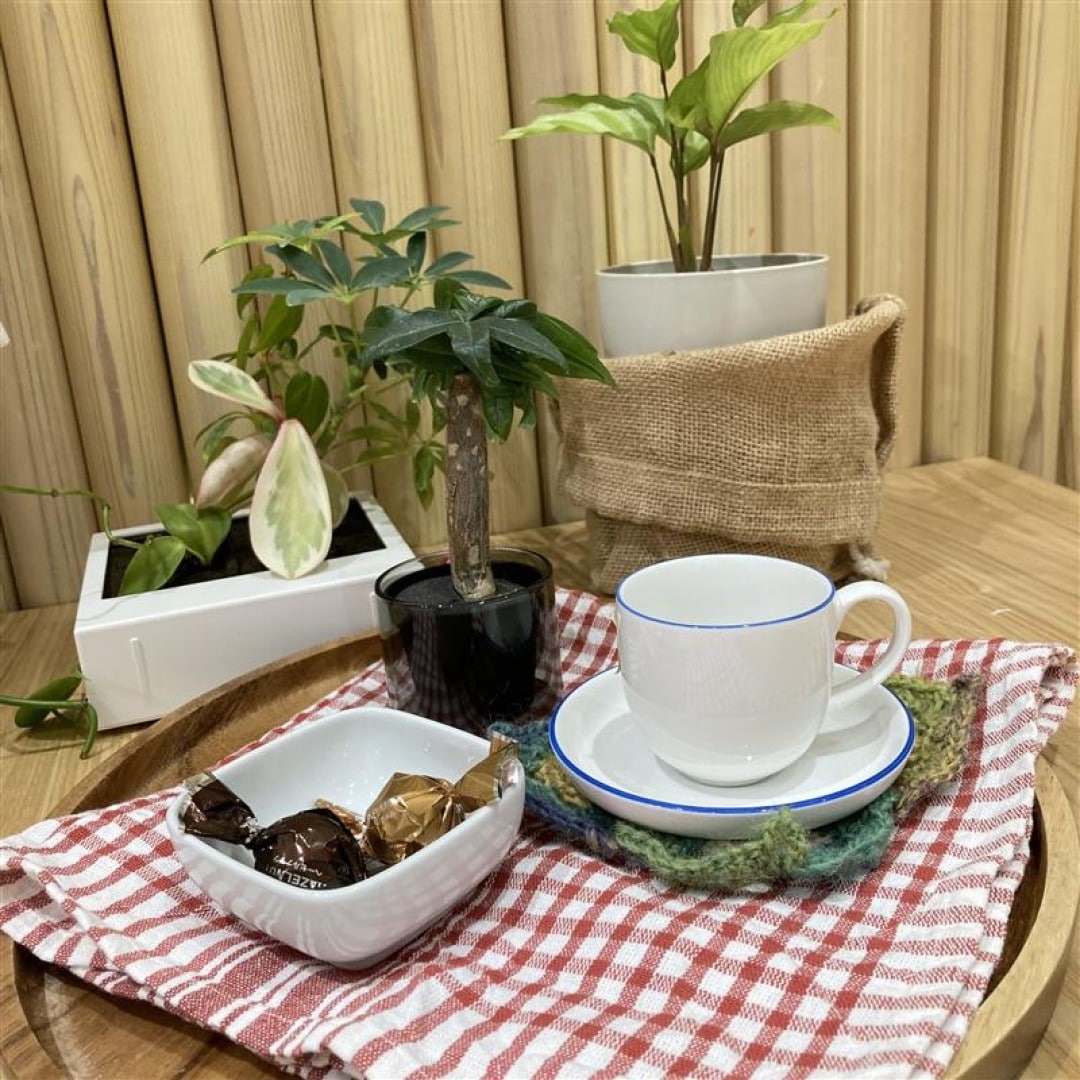 素敵なティータイム１１月サムネ