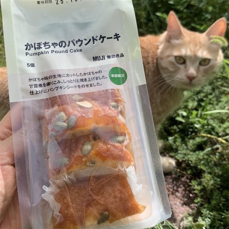 かぼちゃのパウンドケーキ