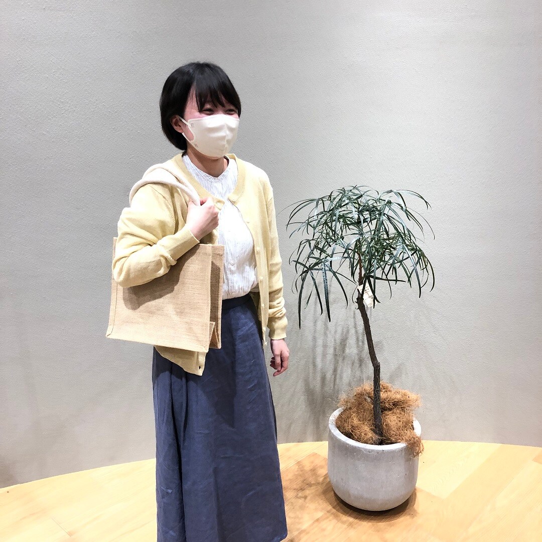 トップ画像