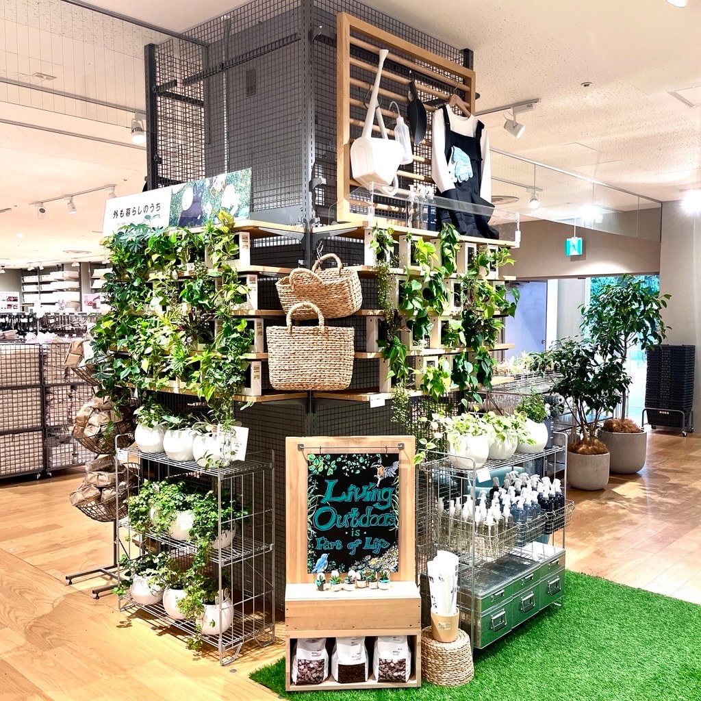 壁につけられ観葉植物