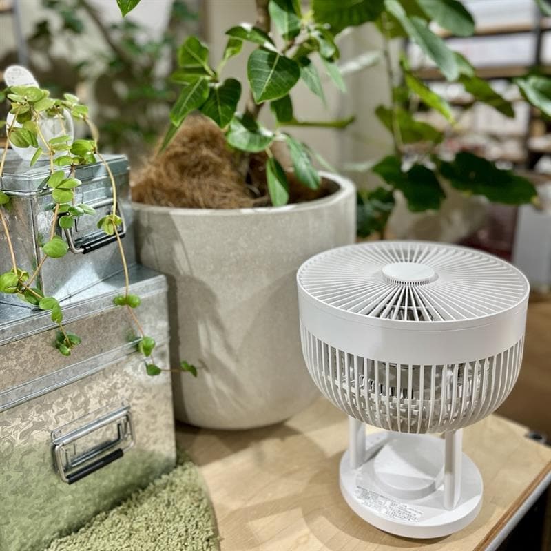 観葉植物とサーキュレーター