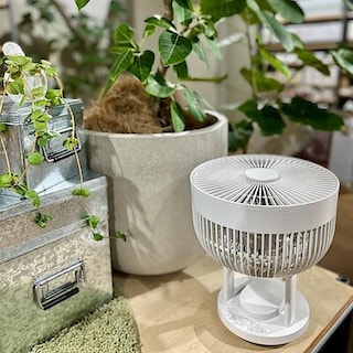【南千里アネックス】観葉植物とサーキュレーター